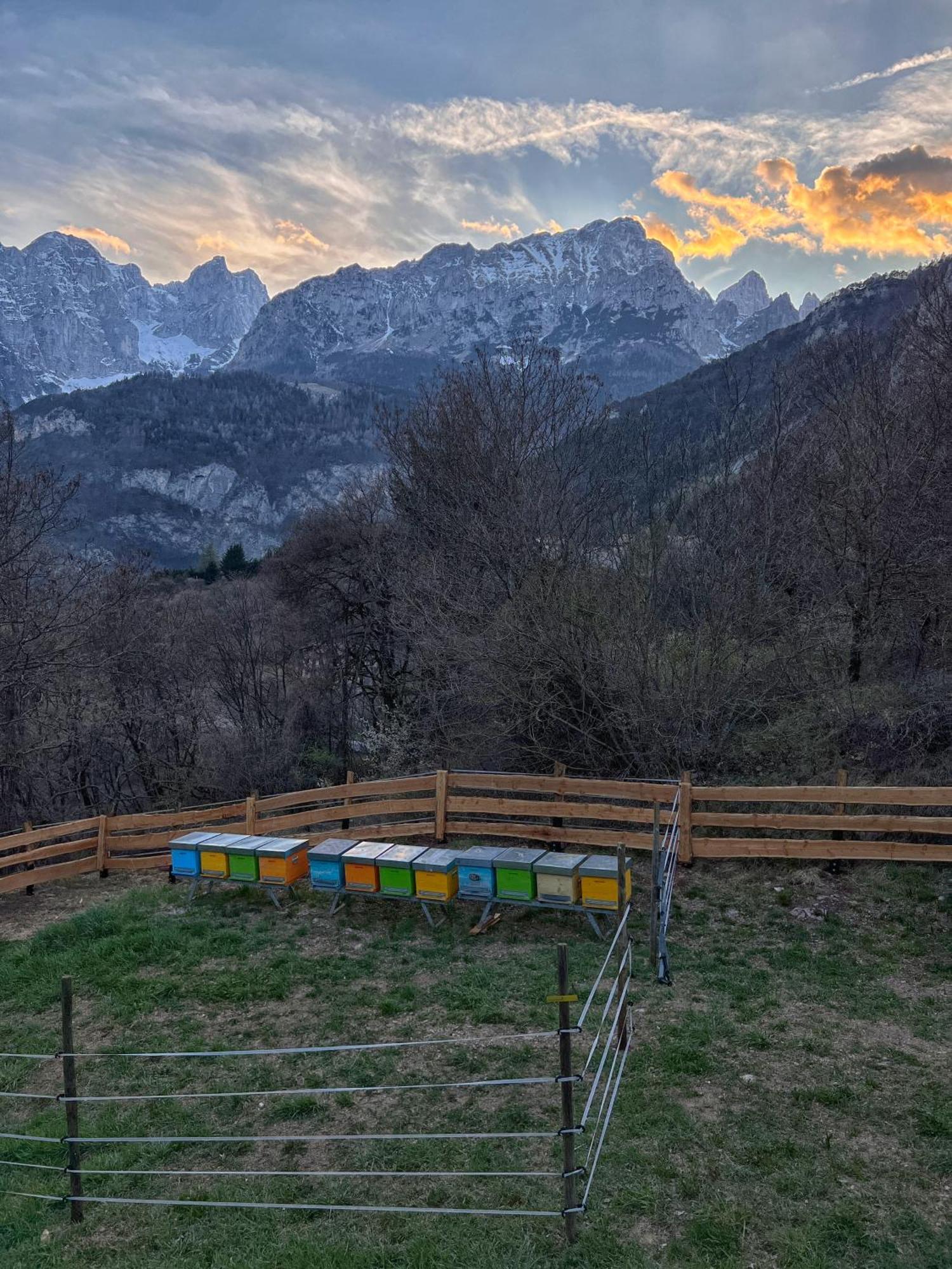 Agriturismo Ai Castioni Molveno Exteriér fotografie