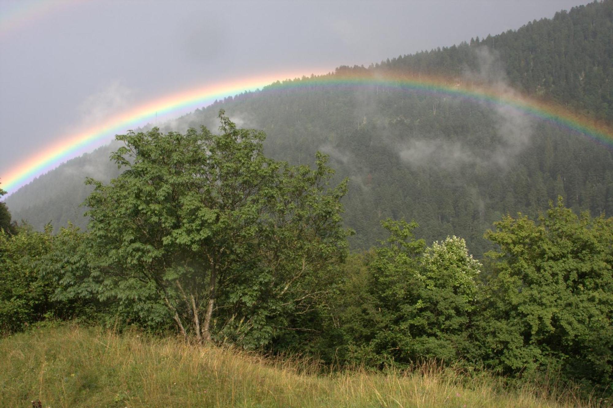 Agriturismo Ai Castioni Molveno Exteriér fotografie
